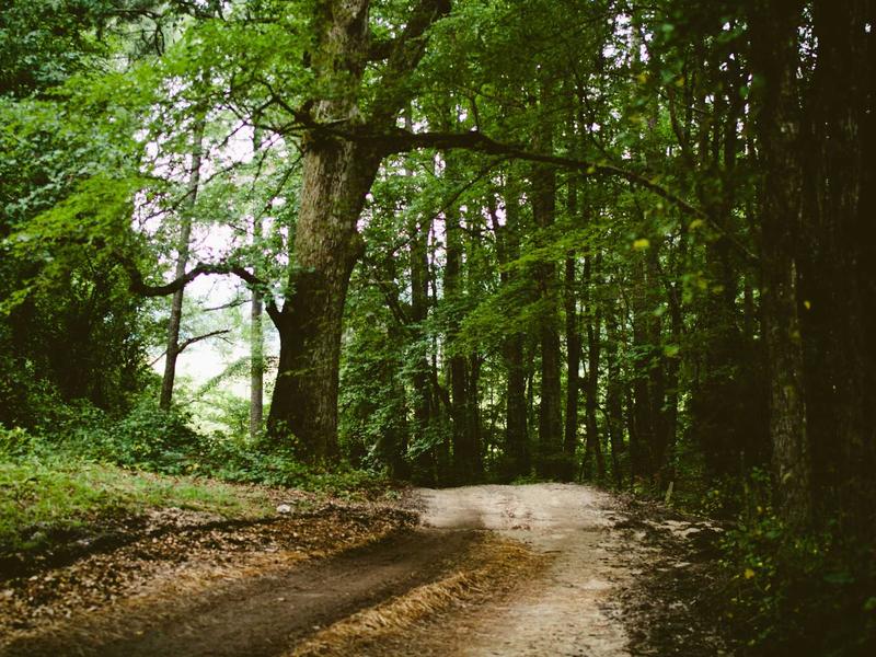 sudoku cloud sync screenshot 5