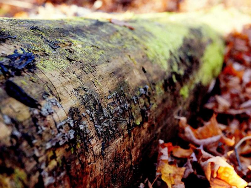 android screenshot 4